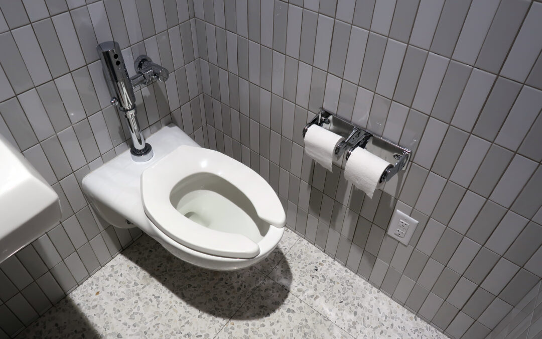 Journée Mondiale des Toilettes : pourquoi cet événement est essentiel pour votre santé, votre confort… et votre plomberie